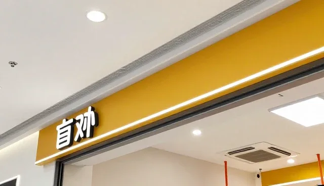 技术外包中定制化开发的性能与适用条件分析