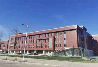 福建复合板免熏蒸木托盘出售