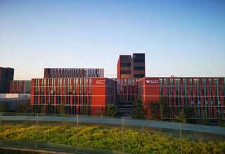 秀洲PVC尼龙母粒制造