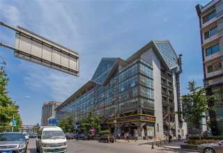 正规专注力如何培养